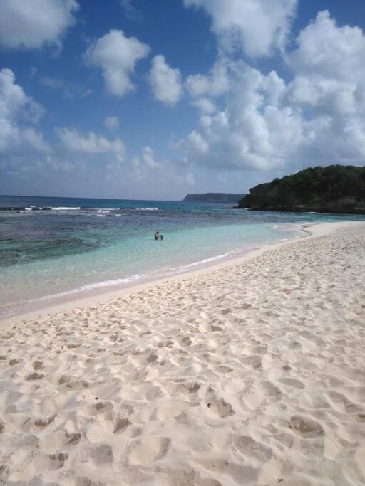 Villa Sous Le Manguier-Anse Bertrand 5Min Plage ภายนอก รูปภาพ