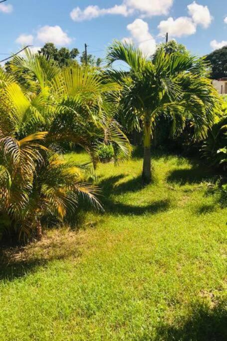 Villa Sous Le Manguier-Anse Bertrand 5Min Plage ภายนอก รูปภาพ